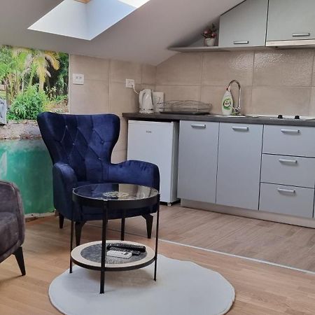 Naki Apartmani Podgoriţa Exterior foto