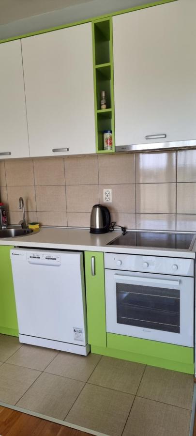Naki Apartmani Podgoriţa Exterior foto