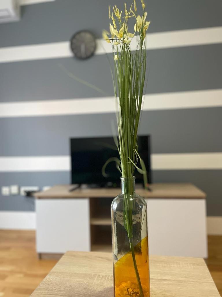 Naki Apartmani Podgoriţa Cameră foto